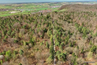 Streckenpanorama Kayher Kirschblütenlauf durch den Schönbuch