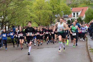 Vorderes Feld vom 34.Kayher Kirschblütenlauf 2026